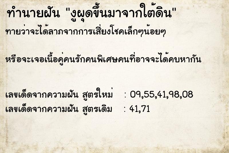 ทำนายฝันงูผุดขึ้นมาจากใต้ดิน ทำนายฝันทำนายฝันงูผุดขึ้นมาจากใต้ดิน