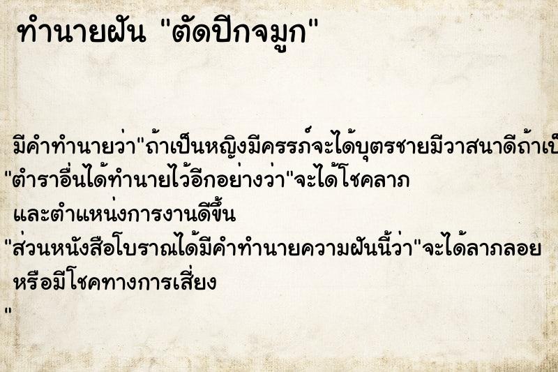 ทำนายฝัน ตัดปีกจมูก ตำราโบราณ แม่นที่สุดในโลก