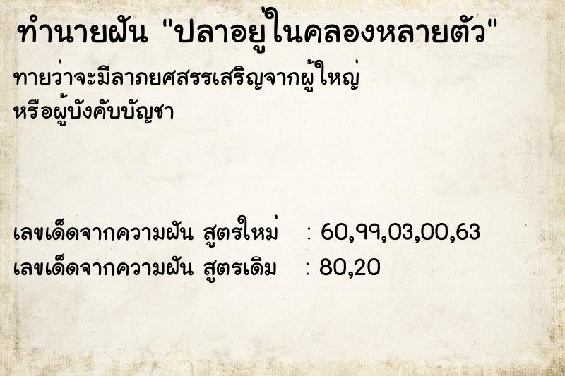 ทำนายฝัน ปลาอยู่ในคลองหลายตัว ตำราโบราณ แม่นที่สุดในโลก