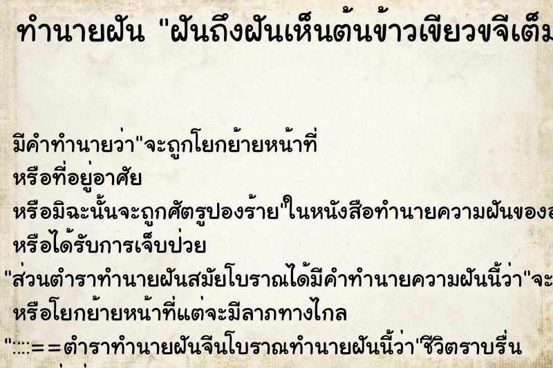 ทำนายฝันฝันถึงฝันเห็นต้นข้าวเขียวขจีเต็มทุ่งนา ทำนายฝันทำนายฝันฝันถึงฝันเห็นต้นข้าวเขียวขจีเต็มทุ่งนา