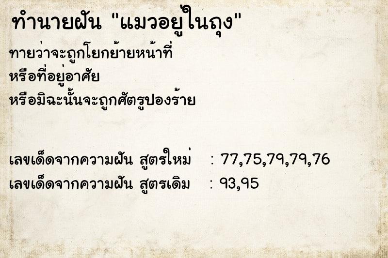 ทำนายฝันแมวอยู่ในถุง ทำนายฝันทำนายฝันแมวอยู่ในถุง