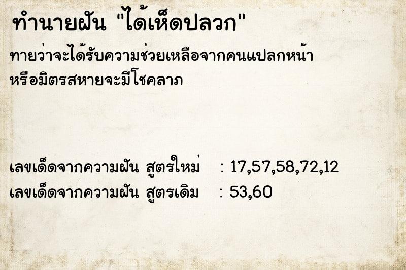 ทำนายฝันทำนายฝันได้เห็ดปลวก