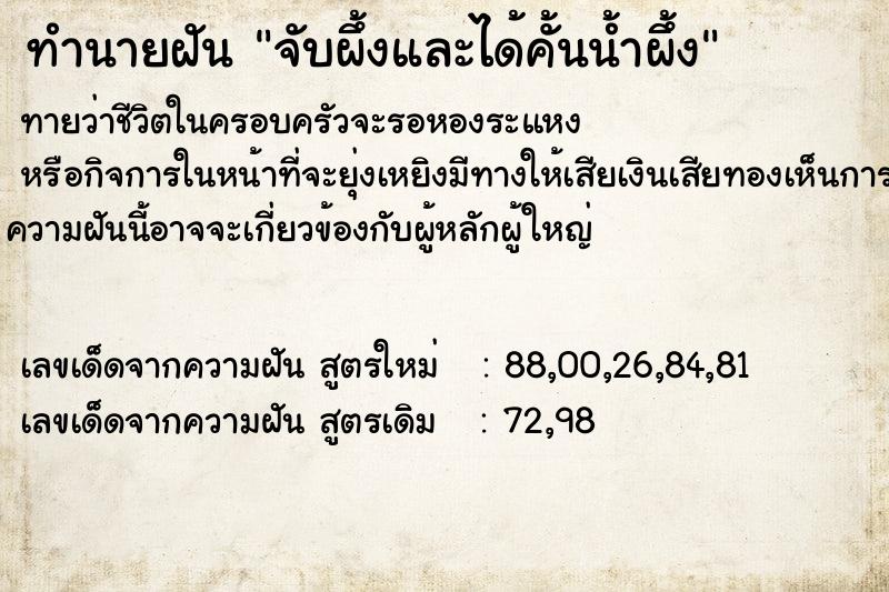 ทำนายฝัน จับผึ้งและได้คั้นน้ำผึ้ง ทำนายฝัน จับผึ้งและได้คั้นน้ำผึ้ง