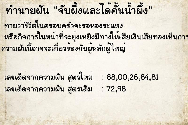 ทำนายฝัน จับผึ้งและได้คั้นน้ำผึ้ง ตำราโบราณ แม่นที่สุดในโลก