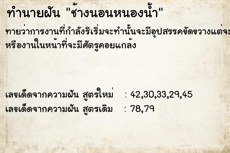 ทำนายฝัน ช้างนอนหนองน้ำ ทำนายฝัน ช้างนอนหนองน้ำ