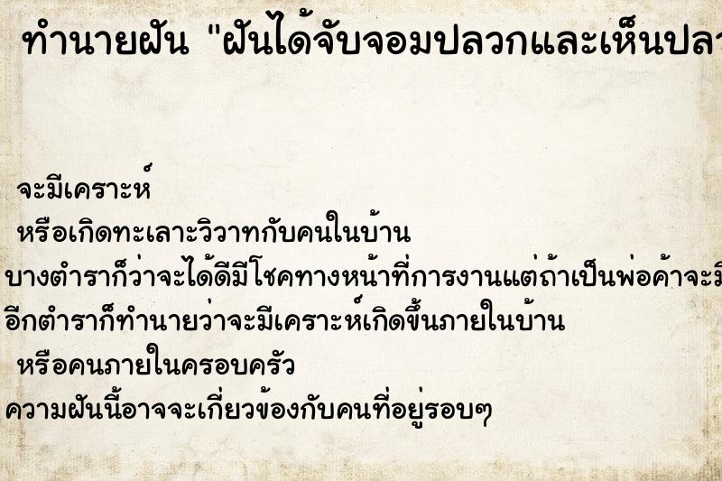 ทำนายฝัน ฝันได้จับจอมปลวกและเห็นปลวกตัวอ่อนสีขาวใสมากมาย