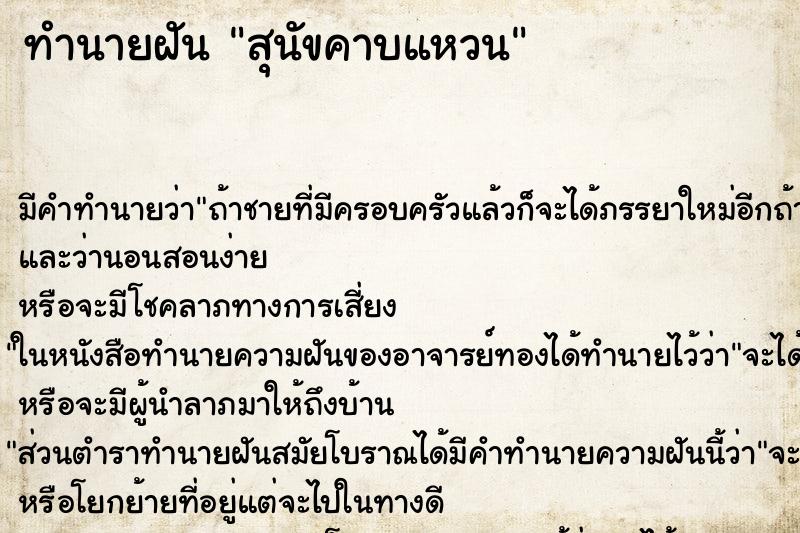 ทำนายฝันสุนัขคาบแหวน ทำนายฝันทำนายฝันสุนัขคาบแหวน