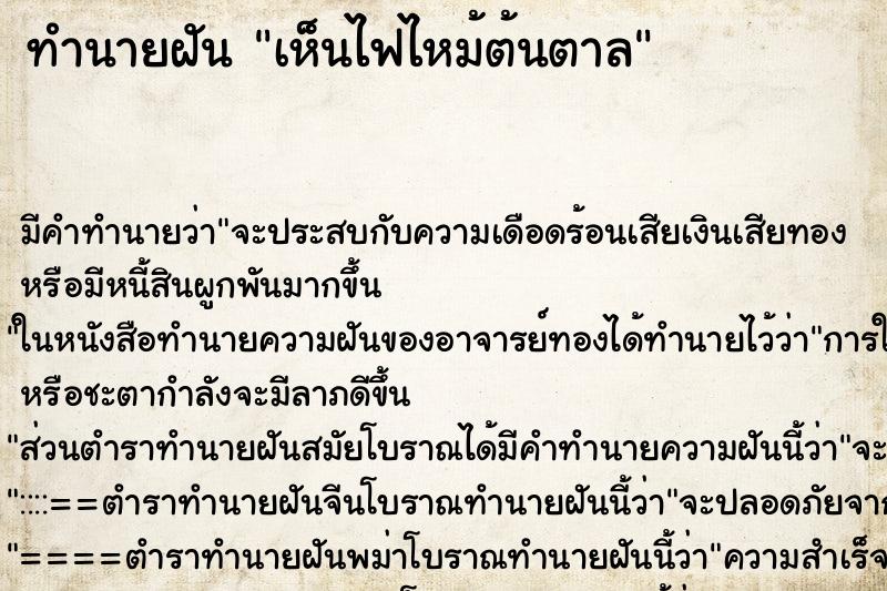 ทำนายฝัน เห็นไฟไหม้ต้นตาล ตำราโบราณ แม่นที่สุดในโลก