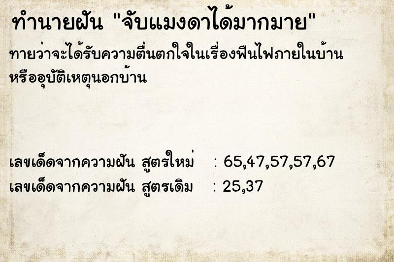 ทำนายฝันทำนายฝันจับแมงดาได้มากมาย
