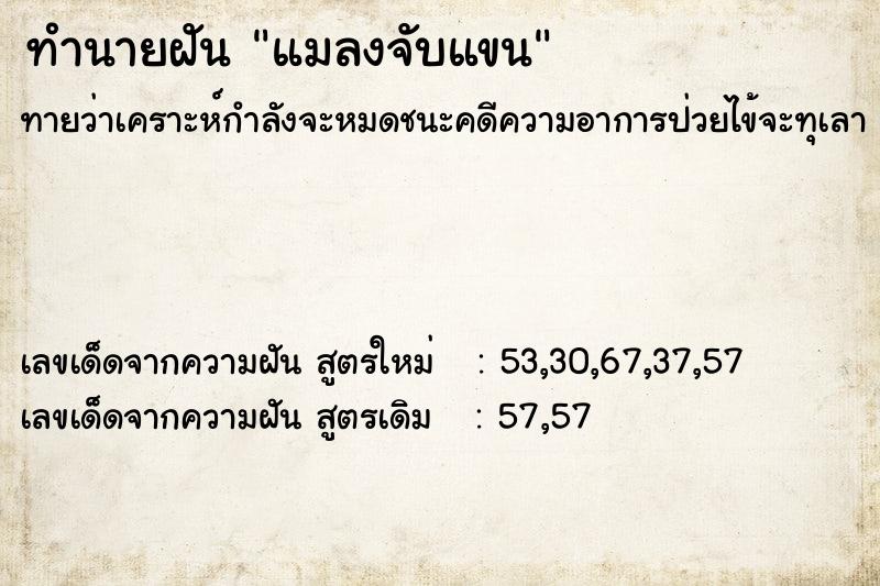 ทำนายฝันแมลงจับแขน ทำนายฝันทำนายฝันแมลงจับแขน