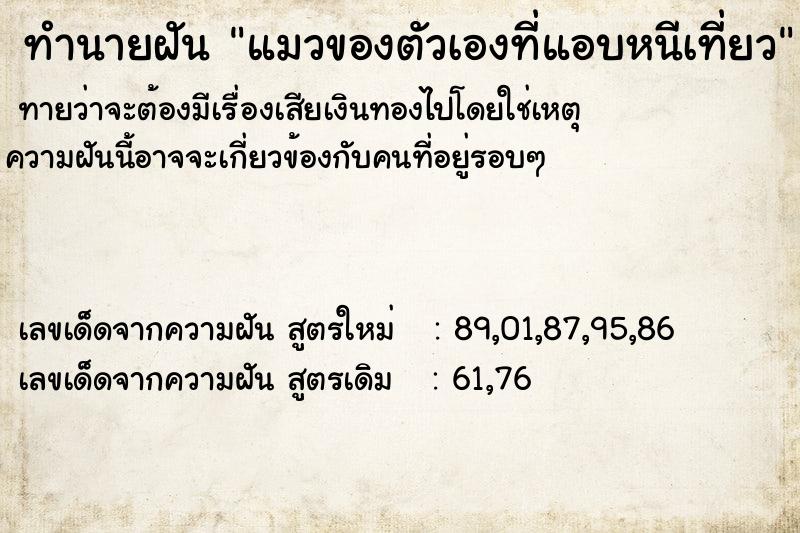 ทำนายฝันทำนายฝันแมวของตัวเองที่แอบหนีเที่ยว