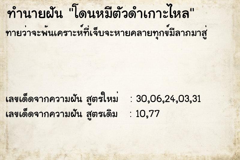 ทำนายฝันทำนายฝันโดนหมีตัวดำเกาะไหล