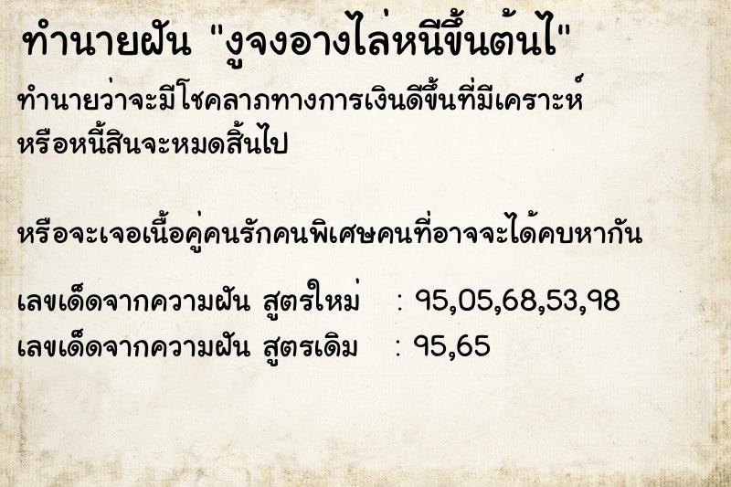 ทำนายฝันทำนายฝันงูจงอางไล่หนีขึ้นต้นไ