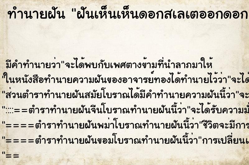 ทำนายฝัน ฝันเห็นเห็นดอกสเลเตออกดอกสวย ทำนายฝัน ฝันเห็นเห็นดอกสเลเตออกดอกสวย