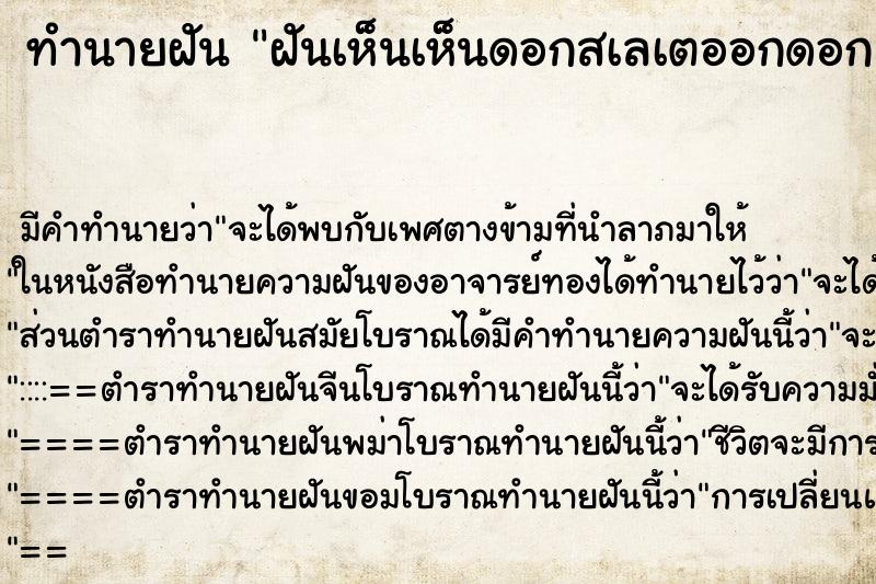 ทำนายฝัน ฝันเห็นเห็นดอกสเลเตออกดอกสวย ตำราโบราณ แม่นที่สุดในโลก