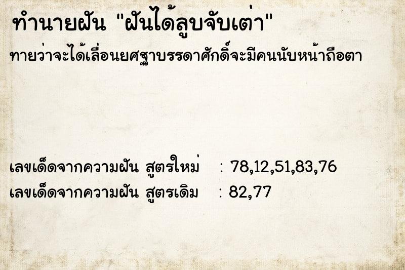 ทำนายฝันฝันได้ลูบจับเต่า ทำนายฝันทำนายฝันฝันได้ลูบจับเต่า