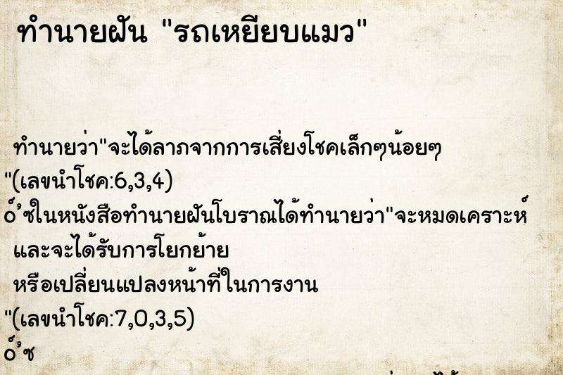 ทำนายฝัน รถเหยียบแมว ทำนายฝัน รถเหยียบแมว