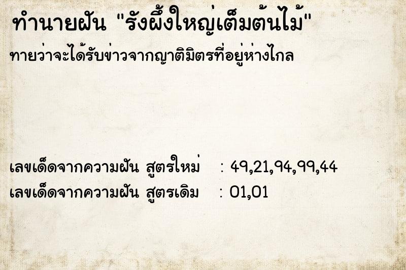 ทำนายฝันรังผึ้งใหญ่เต็มต้นไม้ ทำนายฝันทำนายฝันรังผึ้งใหญ่เต็มต้นไม้