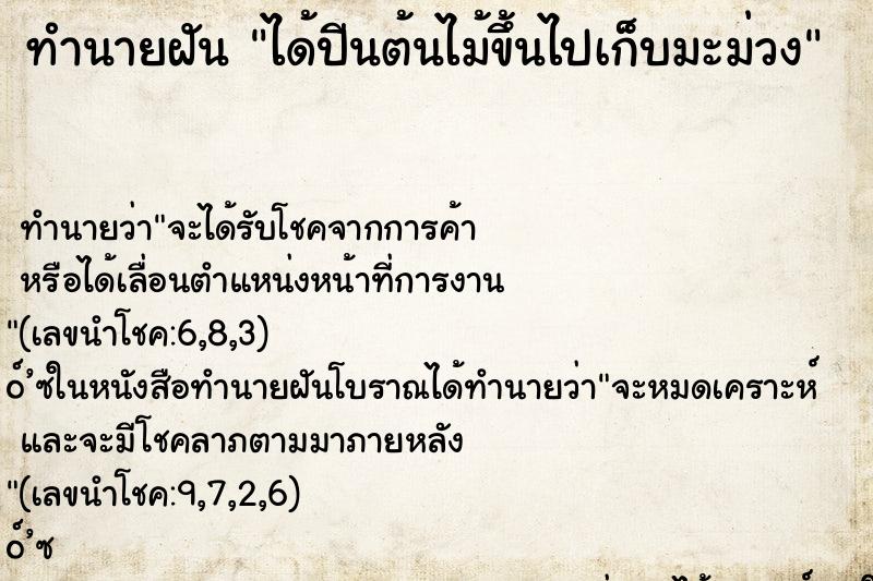ทำนายฝัน ได้ปีนต้นไม้ขึ้นไปเก็บมะม่วง ทำนายฝัน ได้ปีนต้นไม้ขึ้นไปเก็บมะม่วง