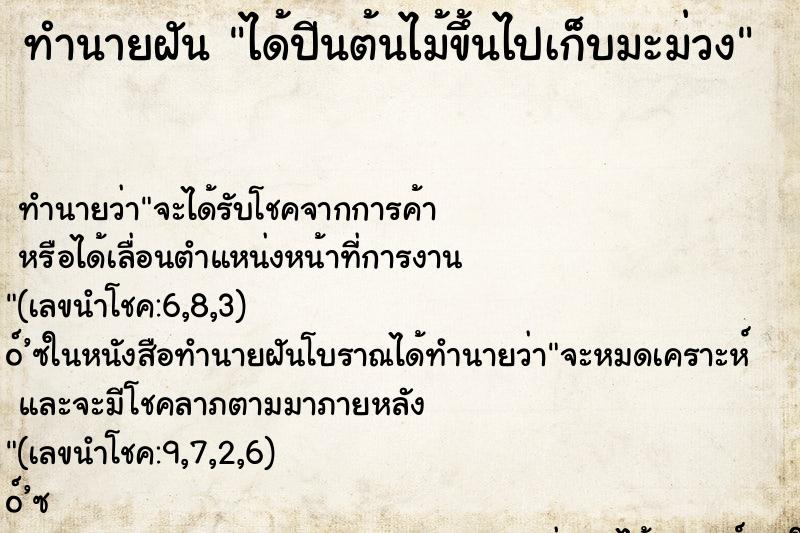 ทำนายฝัน ได้ปีนต้นไม้ขึ้นไปเก็บมะม่วง ตำราโบราณ แม่นที่สุดในโลก