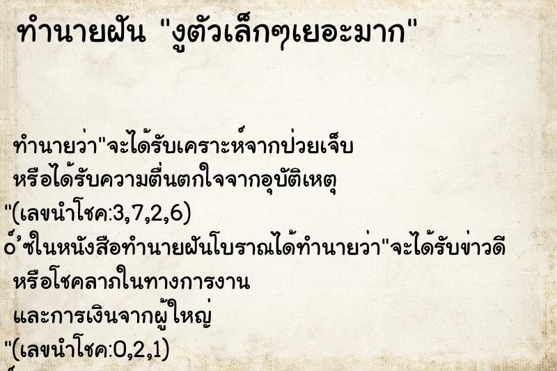 ทำนายฝัน งูตัวเล็กๆเยอะมาก ทำนายฝัน งูตัวเล็กๆเยอะมาก