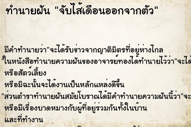 ทำนายฝันจับไส้เดือนออกจากตัว ทำนายฝันทำนายฝันจับไส้เดือนออกจากตัว