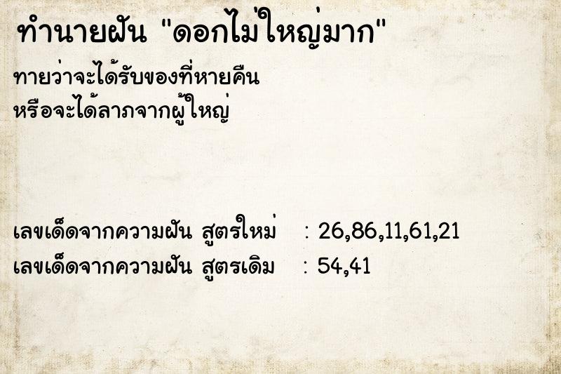 ทำนายฝันทำนายฝันดอกไม่ใหญ่มาก