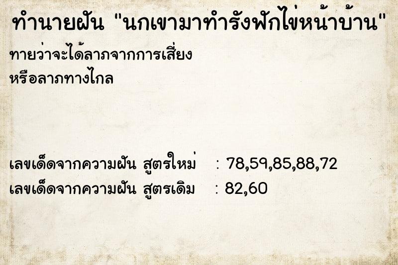 ทำนายฝันนกเขามาทำรังฟักไข่หน้าบ้าน ทำนายฝันทำนายฝันนกเขามาทำรังฟักไข่หน้าบ้าน