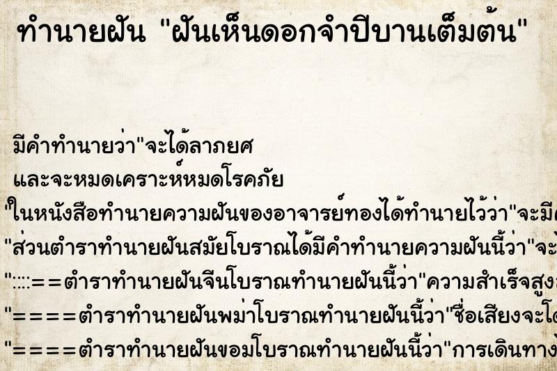 ทำนายฝันฝันเห็นดอกจำปีบานเต็มต้น ทำนายฝันทำนายฝันฝันเห็นดอกจำปีบานเต็มต้น