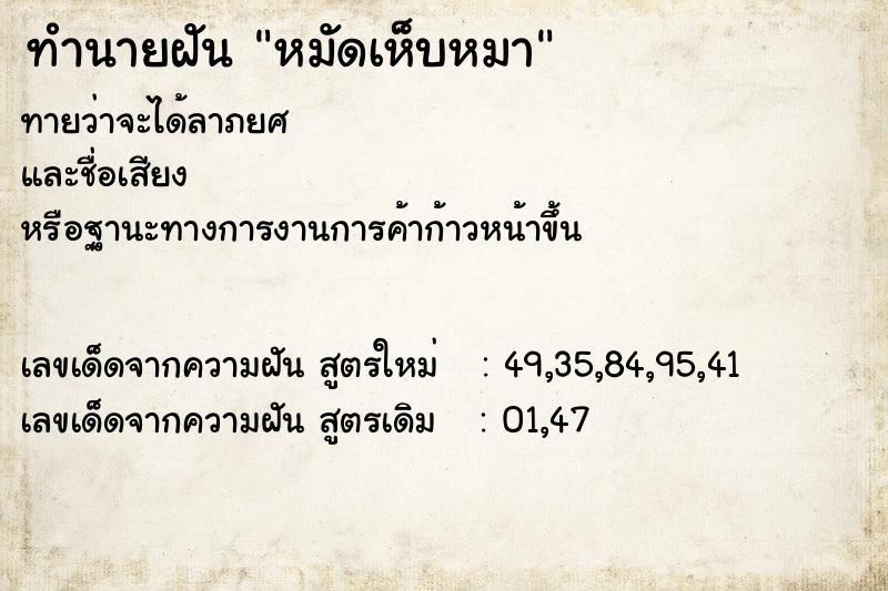 ทำนายฝันทำนายฝันหมัดเห็บหมา