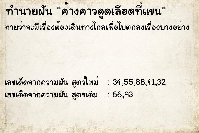 ทำนายฝัน ค้างคาวดูดเลือดที่แขน ทำนายฝัน ค้างคาวดูดเลือดที่แขน