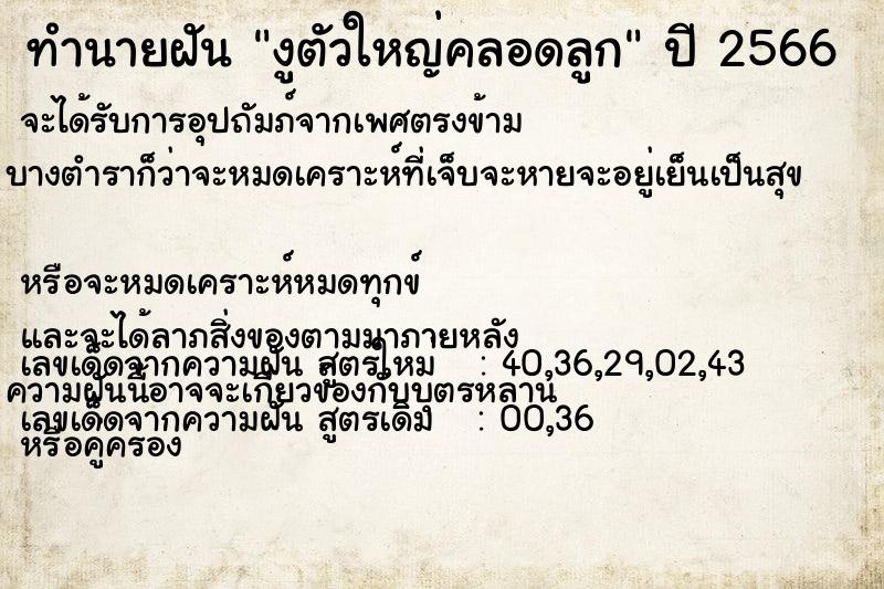 ทำนายฝันงูตัวใหญ่คลอดลูก ทำนายฝันทำนายฝันงูตัวใหญ่คลอดลูก
