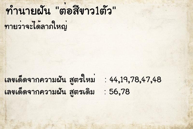 ทำนายฝันต่อสีขาว1ตัว ทำนายฝันทำนายฝันต่อสีขาว1ตัว