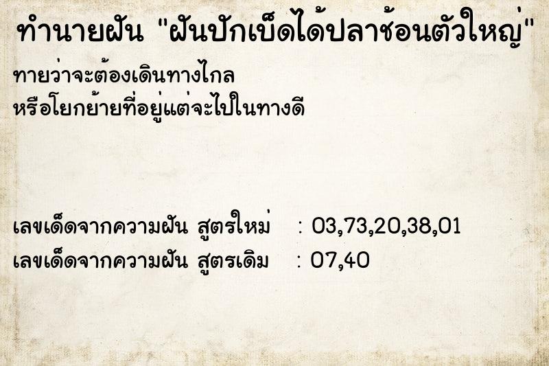 ทำนายฝันฝันปักเบ็ดได้ปลาช้อนตัวใหญ่ ทำนายฝันทำนายฝันฝันปักเบ็ดได้ปลาช้อนตัวใหญ่
