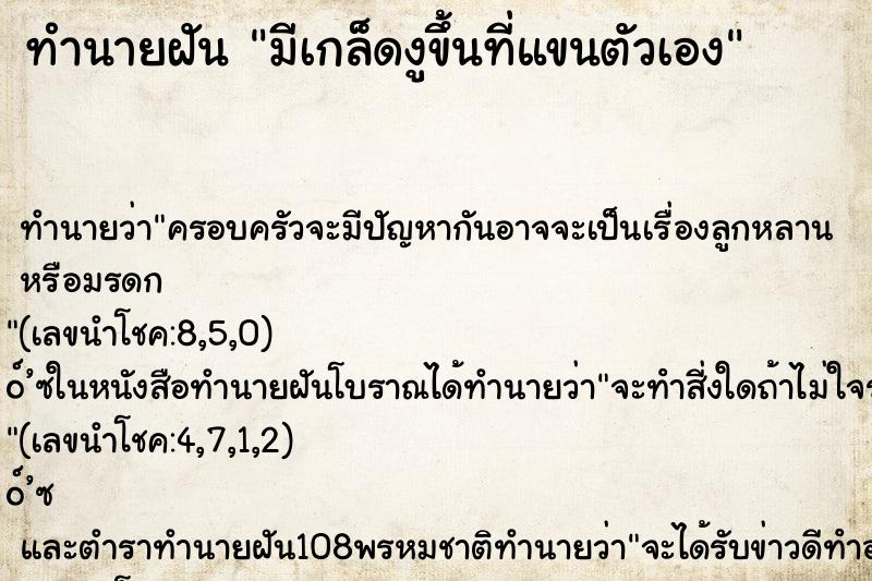 ทำนายฝัน มีเกล็ดงูขึ้นที่แขนตัวเอง ทำนายฝัน มีเกล็ดงูขึ้นที่แขนตัวเอง