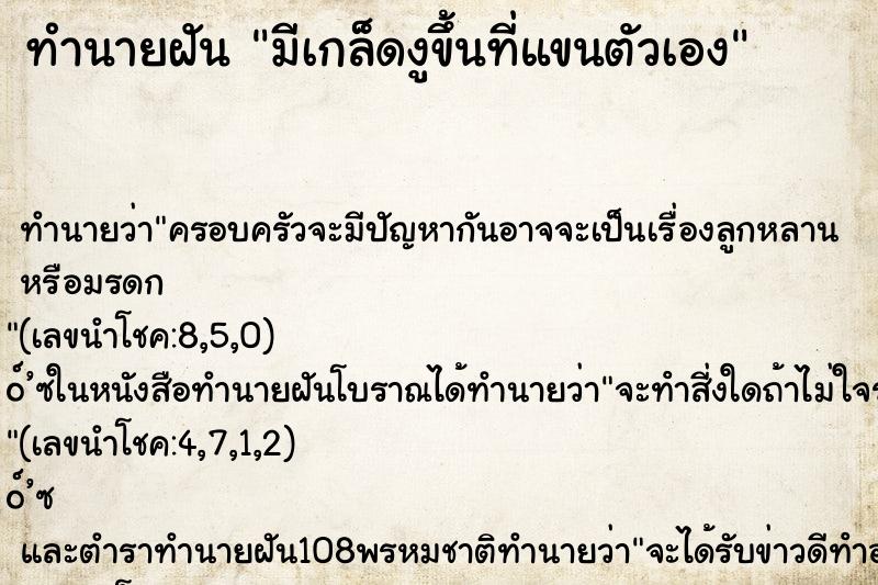 ทำนายฝัน มีเกล็ดงูขึ้นที่แขนตัวเอง ตำราโบราณ แม่นที่สุดในโลก