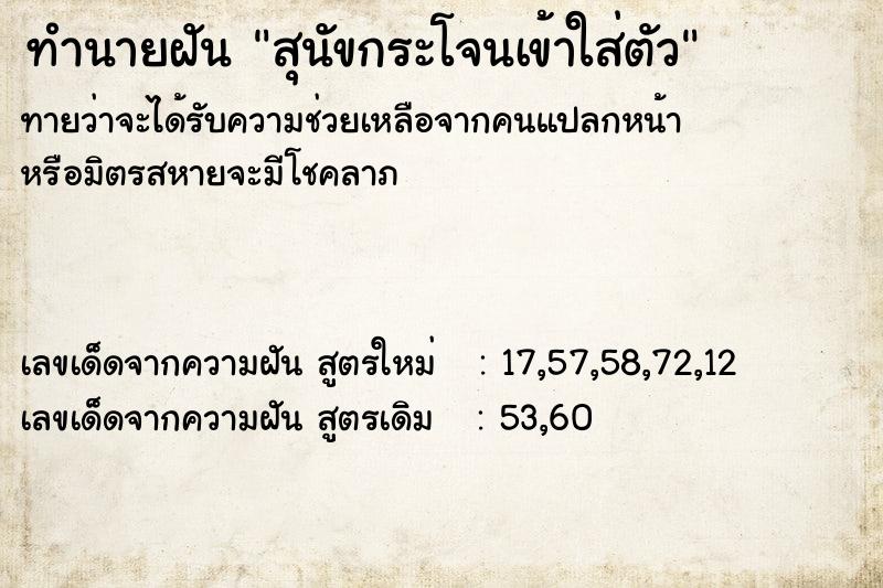 ทำนายฝันสุนัขกระโจนเข้าใส่ตัว ทำนายฝันทำนายฝันสุนัขกระโจนเข้าใส่ตัว