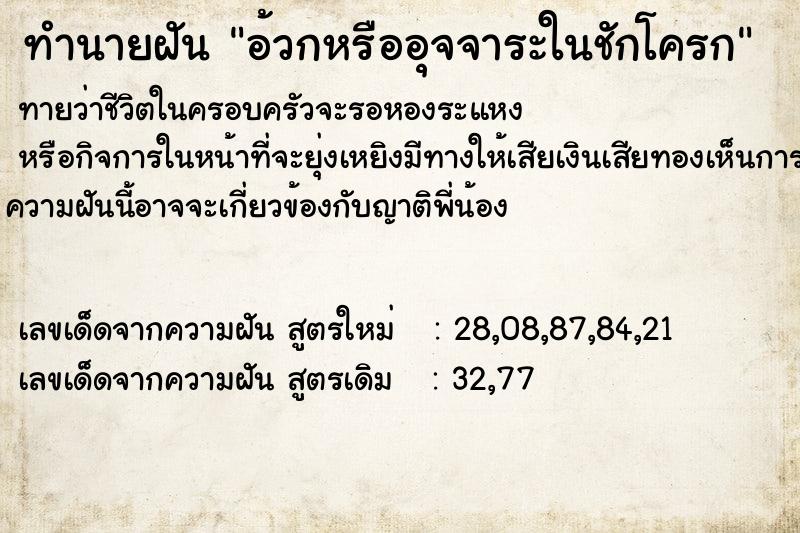 ทำนายฝันอ้วกหรืออุจจาระในชักโครก ทำนายฝันทำนายฝันอ้วกหรืออุจจาระในชักโครก