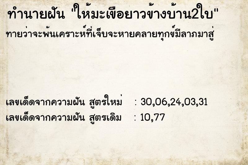 ทำนายฝัน ให้มะเขือยาวข้างบ้าน2ใบ ทำนายฝัน ให้มะเขือยาวข้างบ้าน2ใบ