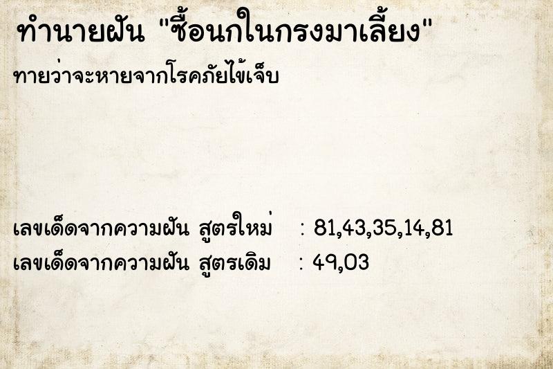 ทำนายฝัน ซื้อนกในกรงมาเลี้ยง