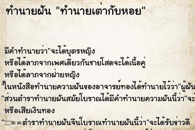 ทำนายฝันทำนายเต่ากับหอย ทำนายฝันทำนายฝันทำนายเต่ากับหอย