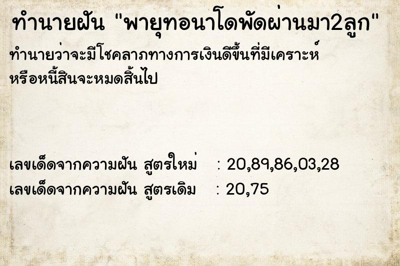 ทำนายฝันพายุทอนาโดพัดผ่านมา2ลูก ทำนายฝันทำนายฝันพายุทอนาโดพัดผ่านมา2ลูก