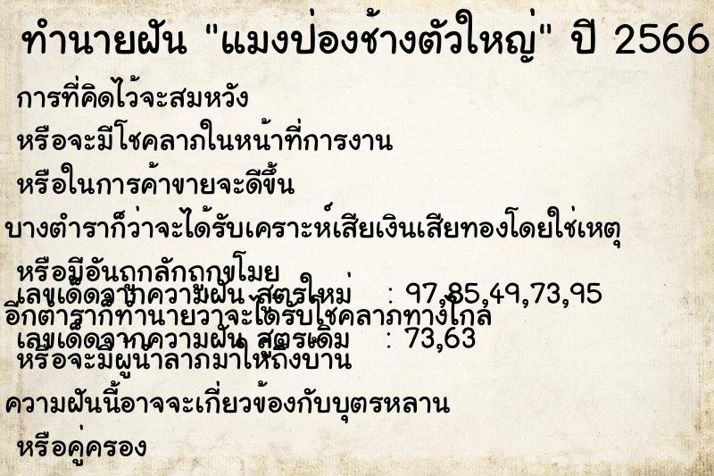 ทำนายฝัน แมงป่องช้างตัวใหญ่