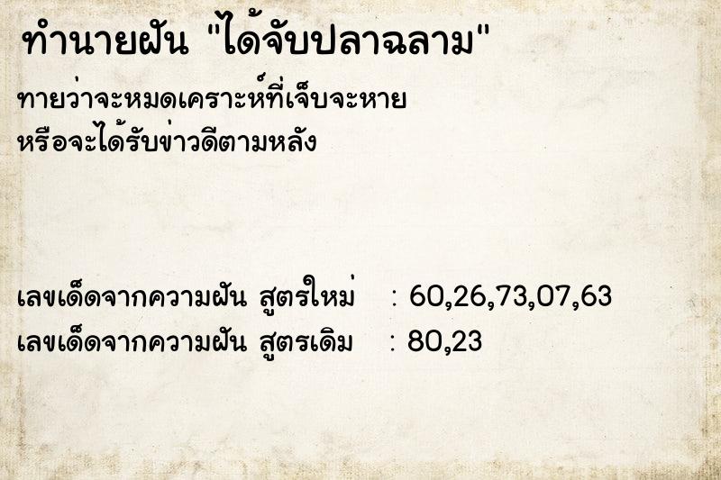 ทำนายฝันทำนายฝันได้จับปลาฉลาม