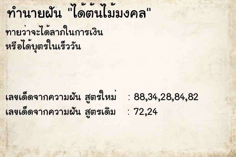 ทำนายฝัน ได้ต้นไม้มงคล ทำนายฝัน ได้ต้นไม้มงคล