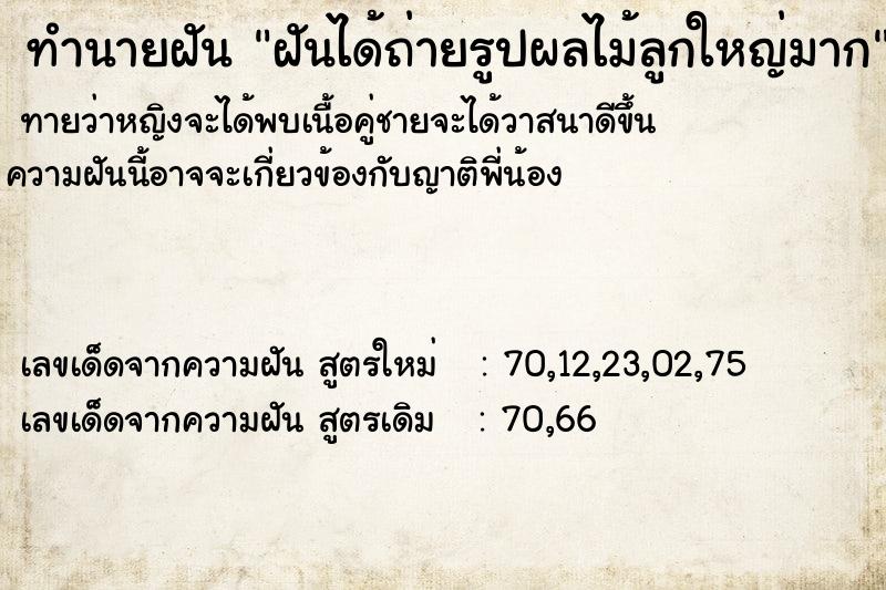 ทำนายฝันฝันได้ถ่ายรูปผลไม้ลูกใหญ่มาก ทำนายฝันทำนายฝันฝันได้ถ่ายรูปผลไม้ลูกใหญ่มาก