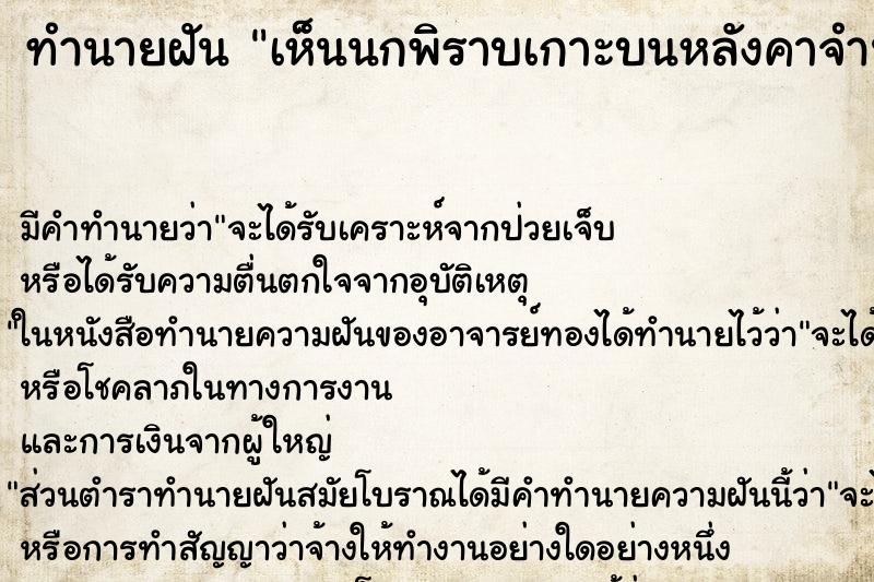 ทำนายฝัน เห็นนกพิราบเกาะบนหลังคาจำนวนมาก ตำราโบราณ แม่นที่สุดในโลก