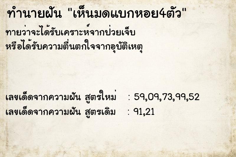 ทำนายฝันทำนายฝันเห็นมดแบกหอย4ตัว