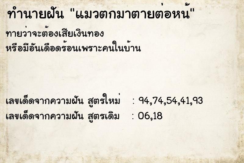 ทำนายฝันแมวตกมาตายต่อหน้ ทำนายฝันทำนายฝันแมวตกมาตายต่อหน้