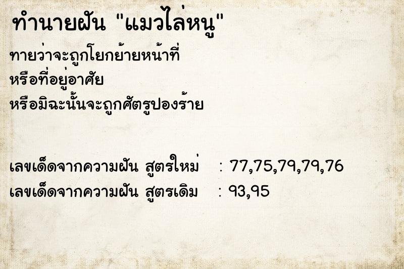 ทำนายฝันทำนายฝันแมวไล่หนู